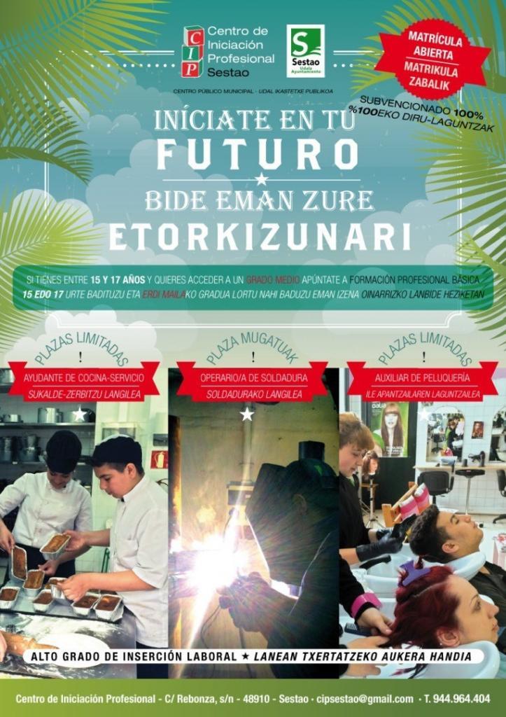 Desde el Centro de Iniciación profesional nos han pedido el desarrollo de un Cartel Imagen del Cartel para el Centro de Iniciación Profesional de Sestao