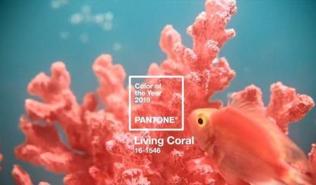 color living coral